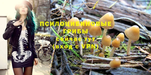 ПСИЛОЦИБИНОВЫЕ ГРИБЫ Ладушкин