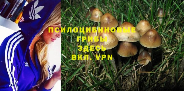 ПСИЛОЦИБИНОВЫЕ ГРИБЫ Ладушкин