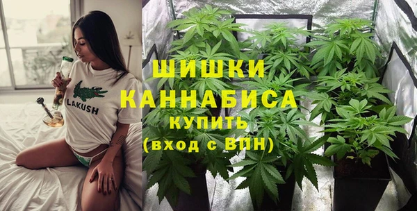 ПСИЛОЦИБИНОВЫЕ ГРИБЫ Ладушкин
