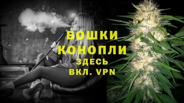 ПСИЛОЦИБИНОВЫЕ ГРИБЫ Ладушкин