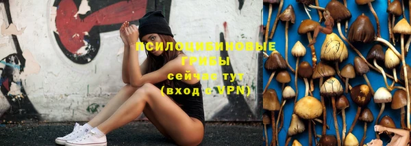 mix Лабытнанги