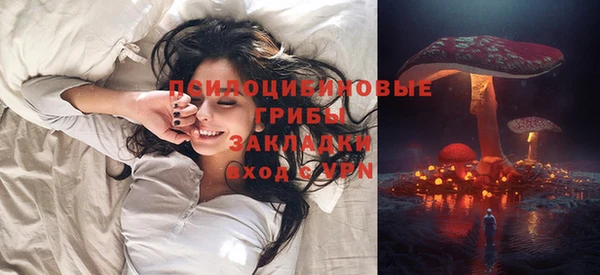 СК Лагань