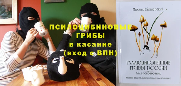 ПСИЛОЦИБИНОВЫЕ ГРИБЫ Ладушкин