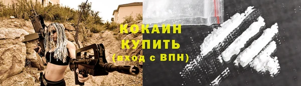 ПСИЛОЦИБИНОВЫЕ ГРИБЫ Ладушкин