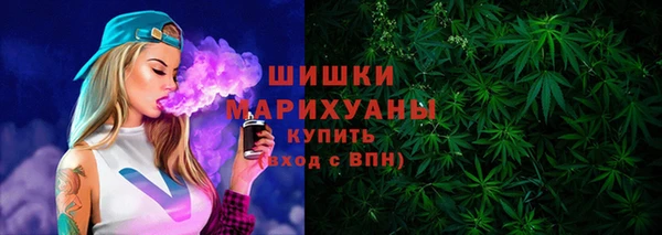 ПСИЛОЦИБИНОВЫЕ ГРИБЫ Ладушкин